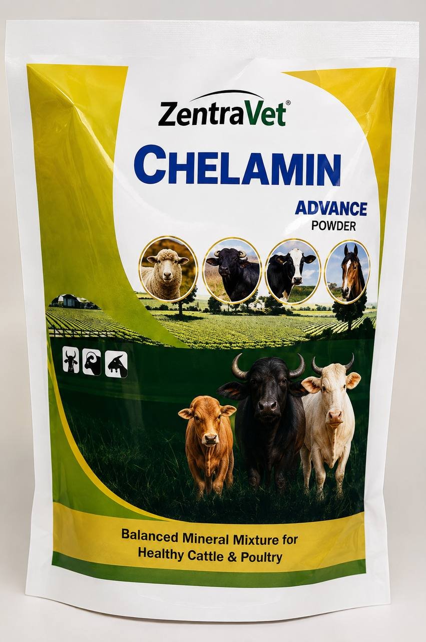 Chelamin Advance balanced mineral mixture pouch