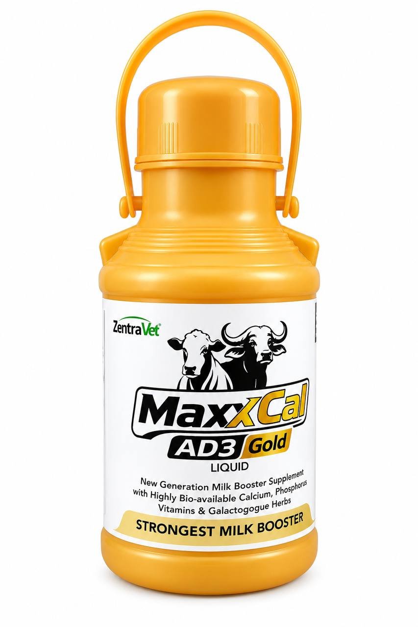 MaxxCal AD3 Gold liquid calcium supplement pack
